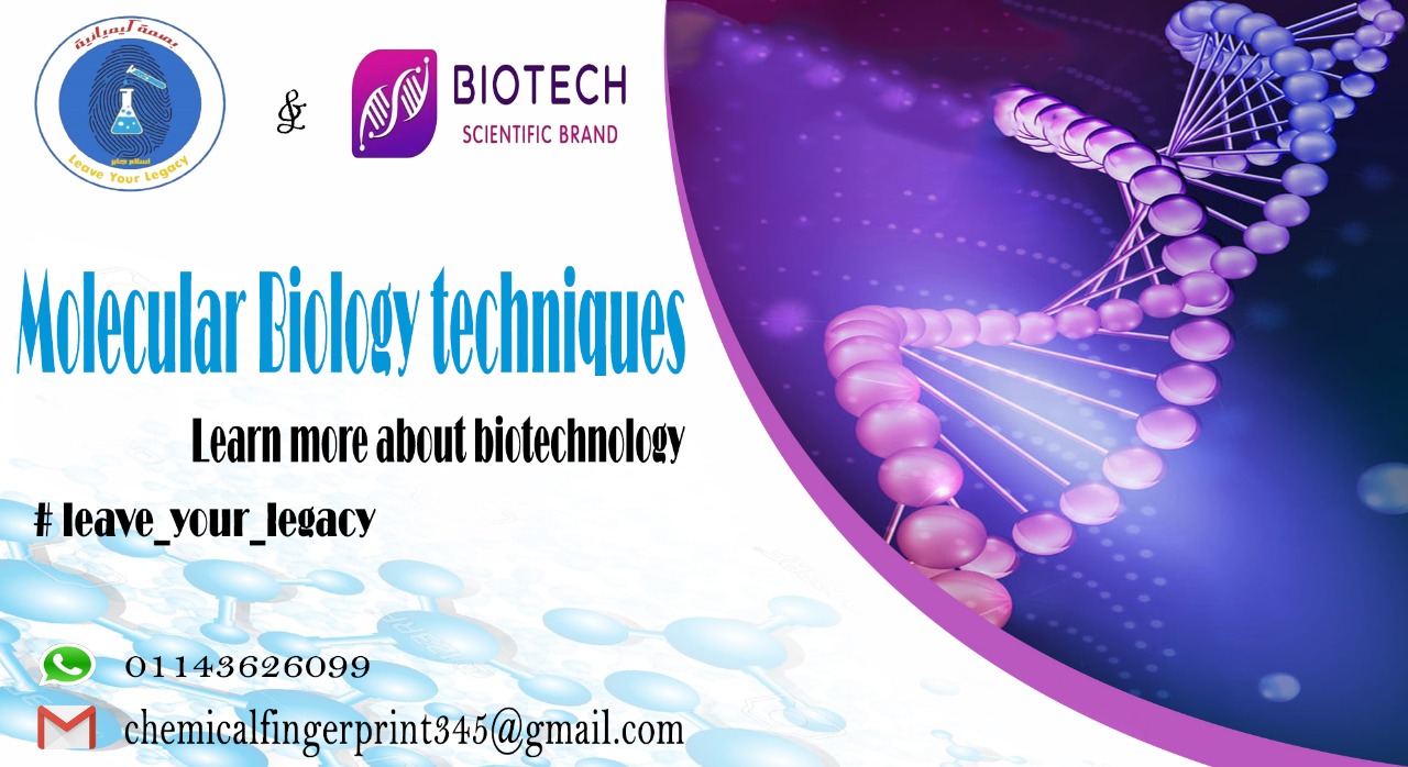 Molecular Biology Techniques