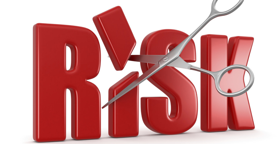 Project Risk Management